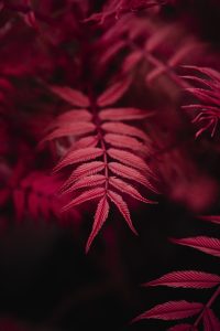 搜片推荐影片封面，悬疑犯罪类型，深色调海报设计感强